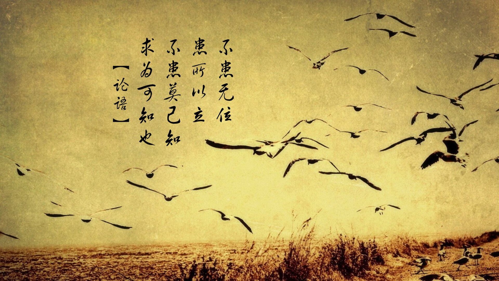 十大照明灯具（灯具照明前10名排行）